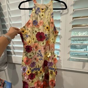 Floral Embroidered Sleeveless Dress